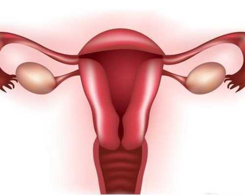 2023长沙古玩交流会时间表,十二星座的爱情宝典