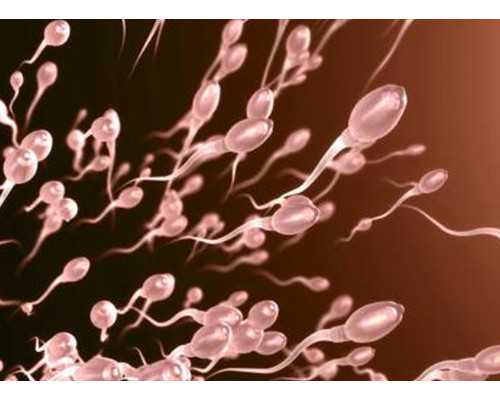 李成儒古玩电视剧蹬三轮,运动减肥你做对了吗