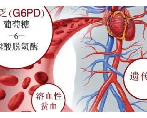 香港验血未能确定结果,怀孕2个月到香港验血是男孩准吗,几周检测性别最准确