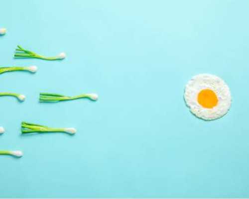 香港性别检测如何预约,你想知道的都在这了,香港验血0.6是不是不准