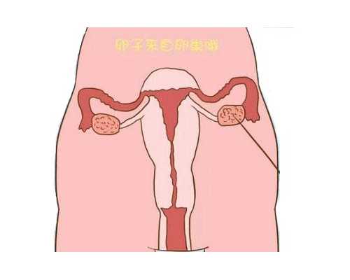 快速的六周知男女寄检服务 香港抽血化验男孩女孩月份大了还准吗
,香港验血男