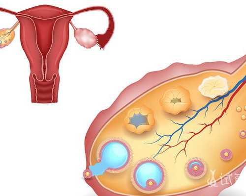 网上香港验血,鉴定性别是男宝,有可能翻盘吗,六周可以香港验血吗