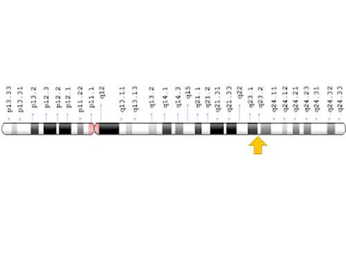 香港验血邮寄怎么伪装,看nt辨别性别,验血是男孩会翻盘吗