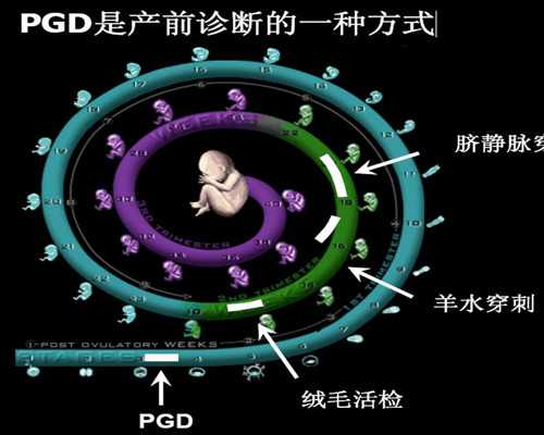 香港验血必须7周吗,内地能验血查男女吗_测性别会不会翻盘