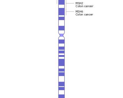 中华古玩网官方网站有出现过三字底款豉钉洗吗?,哑铃如何练上胸肌简单的动作