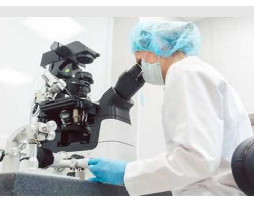 香港查性别报告单图片:告诉你少走弯路的方法,石家庄代理香港验血检测男女