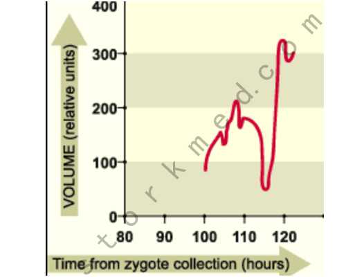 疑似生化后怀孕 香港验血,深圳私人鉴定胎儿性别?讲述去香港验血查男女的真相