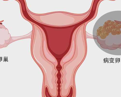 古玩人生宋慎全文免费阅读,命中犯小人的八字