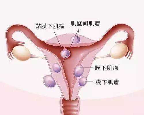 精确的六周查男女办法专业精准 香港验血三千块钱
,香港验血男孩22周BC看不清