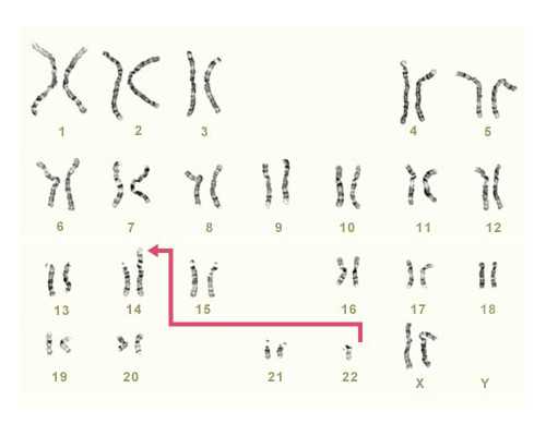 怀孕 香港 验血 准确率,去香港验血又是女儿_性别鉴定真的有那么高准确率吗