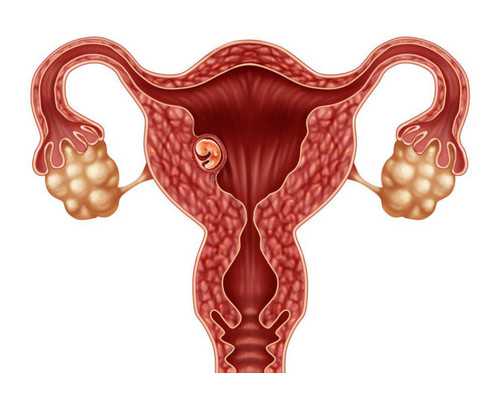 株洲香港验血机构，香港化验所在线预约平台微 验血报告单怎么看男女英文
