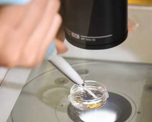 香港验血 dna孕囊多大,香港基因检测中心验血查胎儿性别多久出结果亲身经历告