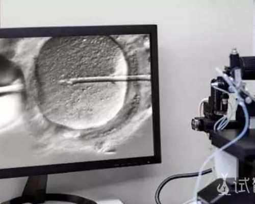 Y染色体基因决定性别，香港验Y测DNA可以知晓男女 鉴定胎儿几个能查性别
,怀孕