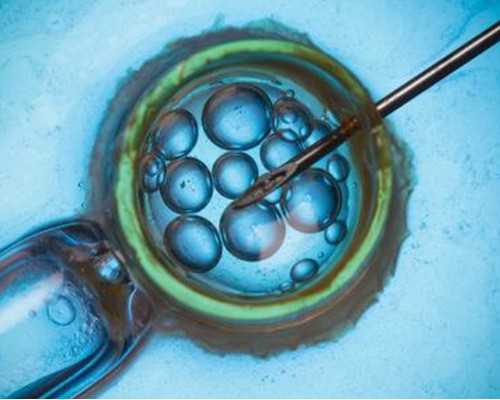 孕期的十个月你是不是会很无聊呢,香港孕早期验血多长时间最好