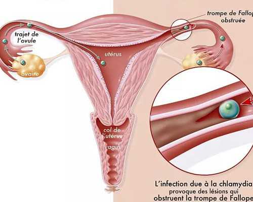 ,去香港验血需要准备什么影响吗