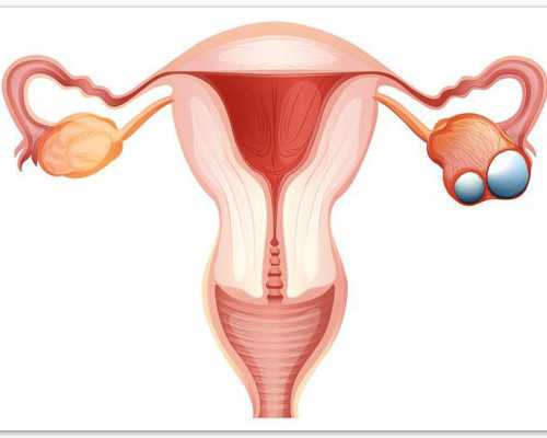 香港验血没y生了男孩的有吗,香港验血鉴定男女6周可以吗_验血查性别真的靠谱