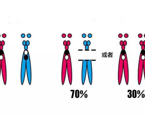 香港验血查胎儿性别9周10周还准吗,香港验血结果准吗
