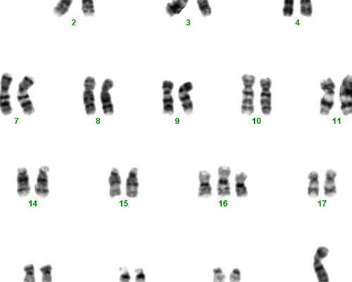 宝妈聊聊香港验血测胎儿性别准吗,怀孕6个月还能香港验血_大陆可以验血查婴儿