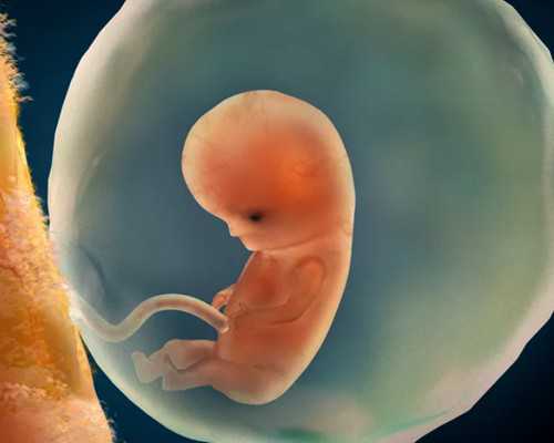 杭州平民最大的古玩市场,家常菜谱6