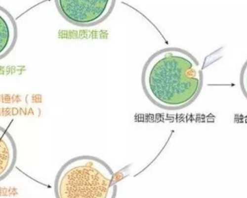 香港验血7周结果女孩,香港dna测男女费用,验血的流程和手续如何办