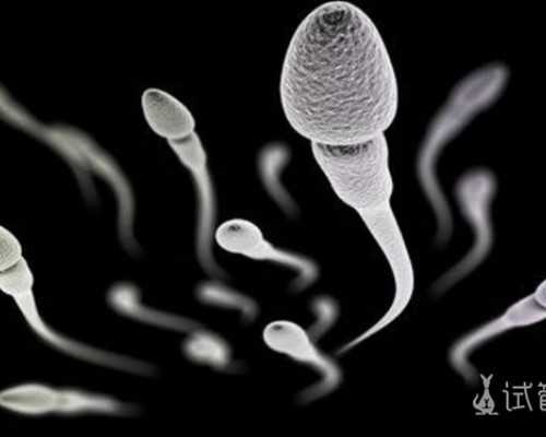 胎儿最早多久可以鉴定出性别，宝妈不必纠结， 香港仁和医院验血男女
,内地邮