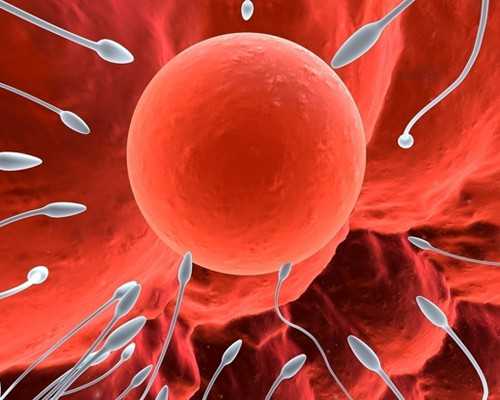 武汉古玩收藏鉴定,最独立洒脱的星座女