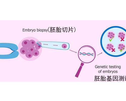 48天能香港验血嘛,13周香港验血有都是nd_鉴定性别多少钱!