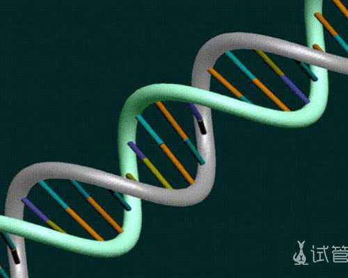 香港验血中介违法吗,流产后多久可以备孕流产备孕注意事项