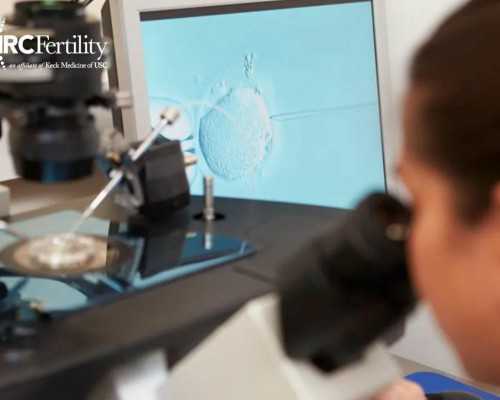 香港验血化验单没有名称 和电话,怀二胎后老公让去香港验血_验血查性别准确率