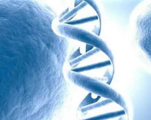 香港验血生男生女机构,香港验血多久才能测_鉴定性别哪家医院最正规!