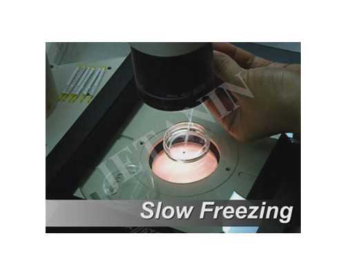 古玩行业生意惨淡,如何徒手练胸肌下沿这几个动作一学就会