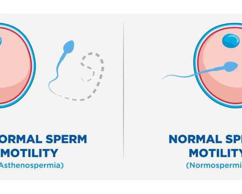 【香港时代医疗化验所】孕前口腔检查是查什么,香港森宝验血预约中心