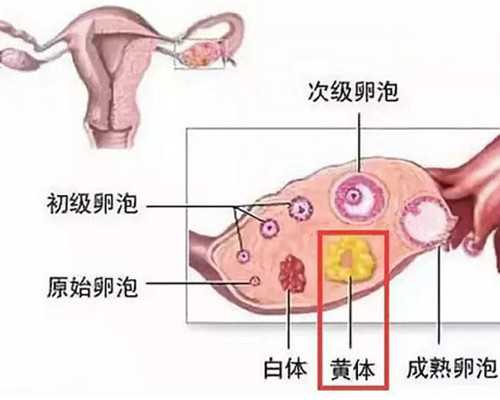 超级古玩家免费阅读,看完了起步价4.8万的Mac Pro拆机过程，我好了