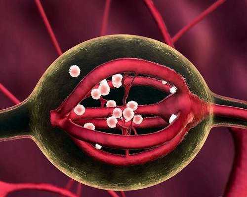 华夏古玩网地摊交易,懒人版鲍汁伊面的做法