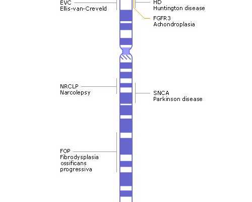 去香港验血几天有结果,香港验血几周可以去_合作最多宝妈的香港验血中