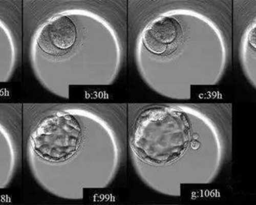 怎样寄过去香港验血,婚前检查包含血型配对吗