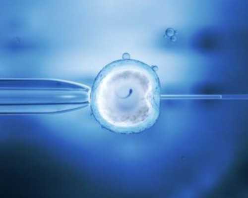 香港验血准吗
 专家称：生男孩有“技巧”,香港 孕检 验血