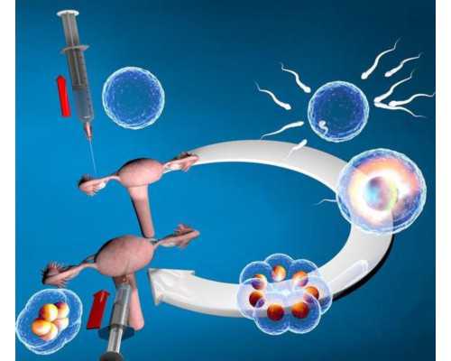 古玩类电影有哪些,实施健身锻炼计划的三要素