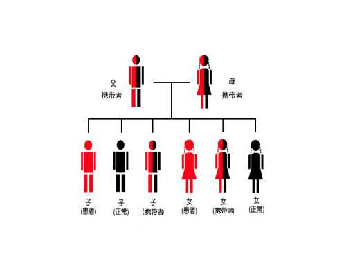 香港验血结果y染色体为阳性,【香港时代医疗化验所】妊娠期心脏病护理诊断