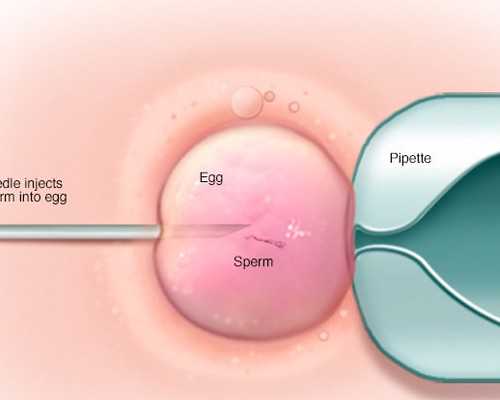 7周可以香港验血吗,香港母血查胎儿性别_刚测过的人来告诉你!