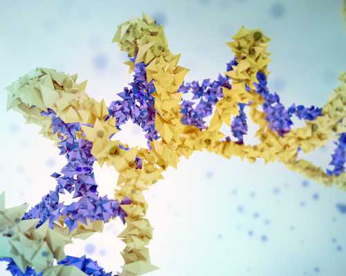 古玩电视剧大全免费,紫苏茄子炒豇豆