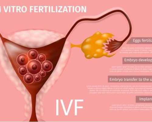 香港验血鉴定男女几天可以出结果,在香港验血男女多少钱去香港验血查男女准