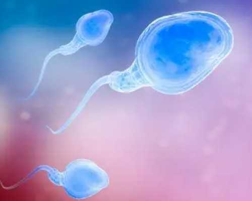 古玩捡漏赌石鉴宝小说女频,蒜蓉粉丝虾的做法