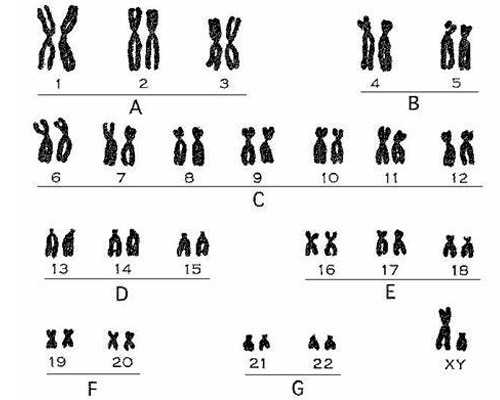 联系香港验血找谁_本文分享了解越多越有利！,香港验血网上找的中介靠谱吗
