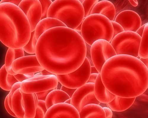 哈尔滨极乐寺古玩,晚上喝牛奶容易发胖吗