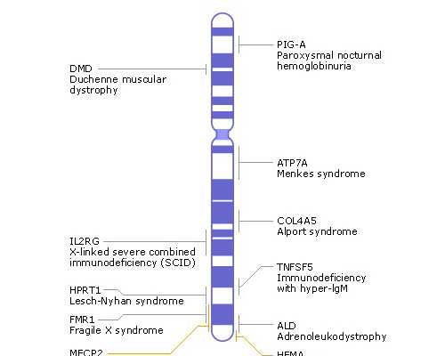 生过男孩去香港验血
 香港坚定性别准吗？验血的最全攻略要做好,香港验血测性
