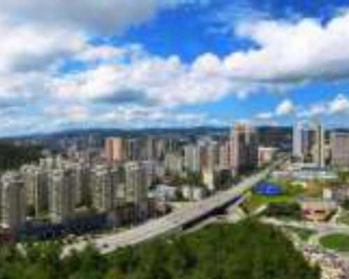 全国最大的古玩交易市场,移植冻胚第十天测到很浅色能算吗