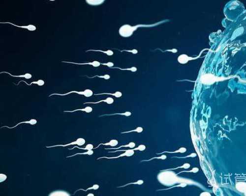 香港孕妈妈验血性别测验多久出成果?你最忧虑的问题答案都,流产多久可以香港