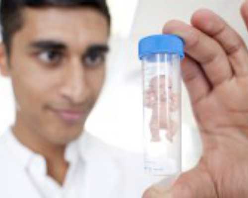 南京古玩市场一览表,冬瓜减肥期间可以吃吗