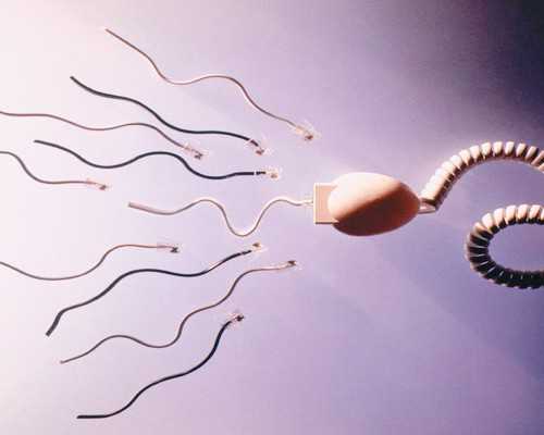 成都古董古玩免费鉴定,梦见砸东西是什么意思做梦梦到摔东西好不好